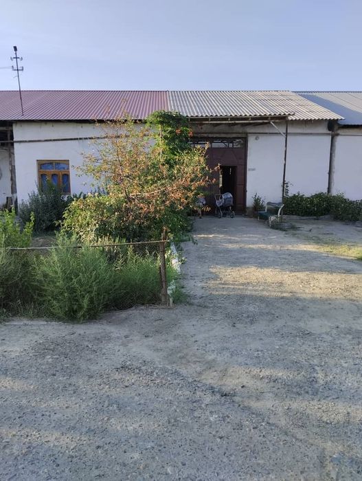 Катеж сотилади янги чопикда