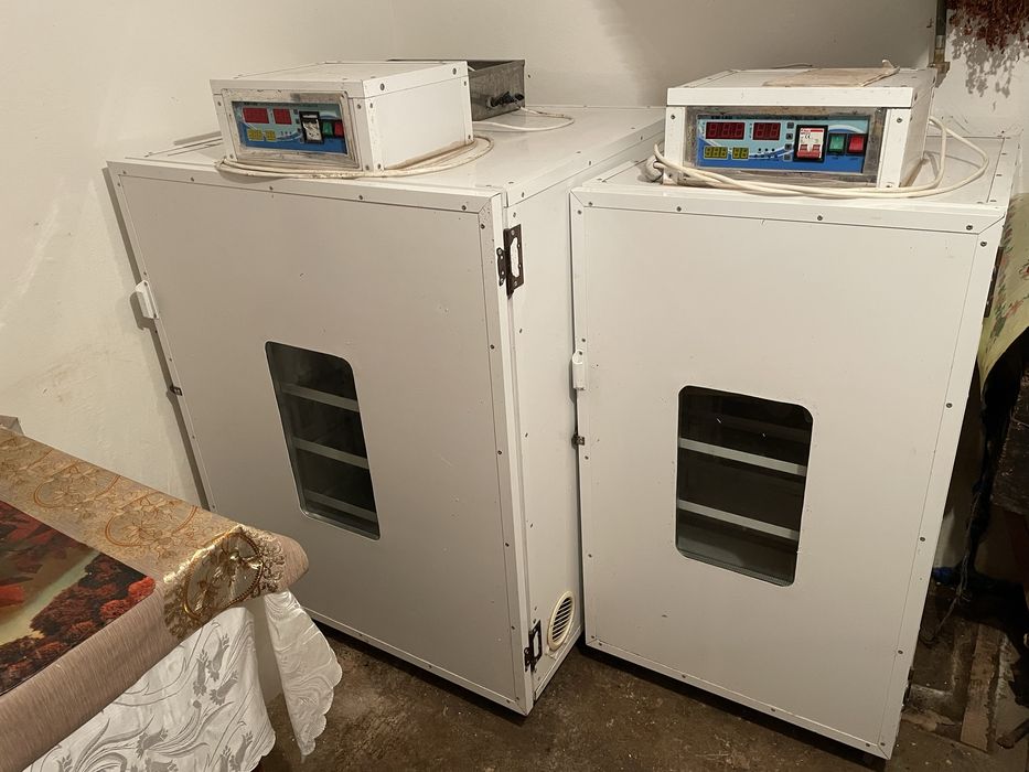 Vand incubatoarea de oua