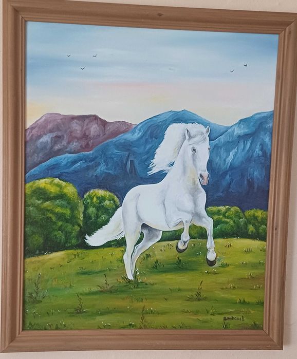 Бял мустанг на свобода