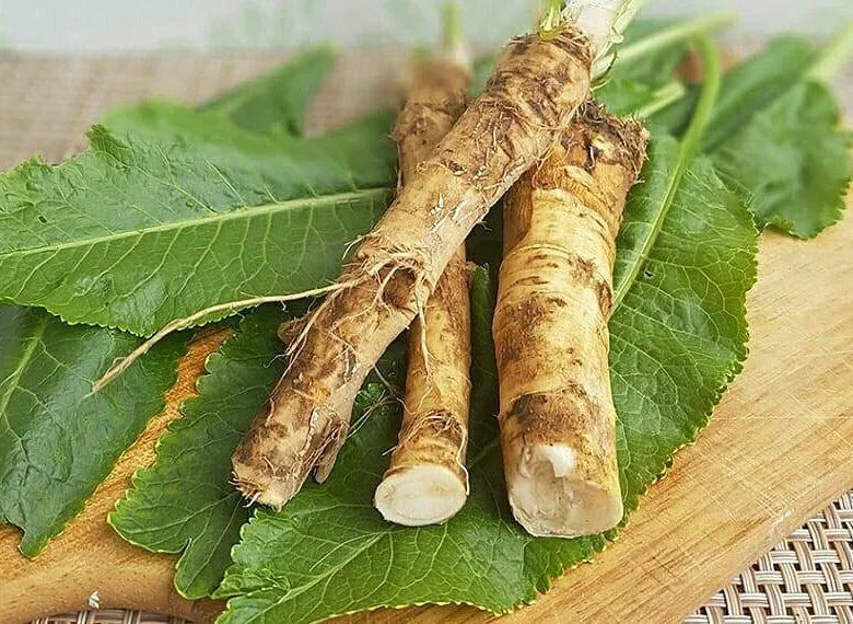 Продам хрен,а так-же листья хрена.
