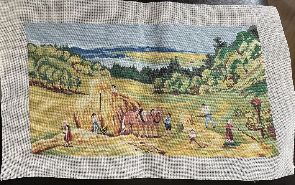 Goblenuri lucrate manual