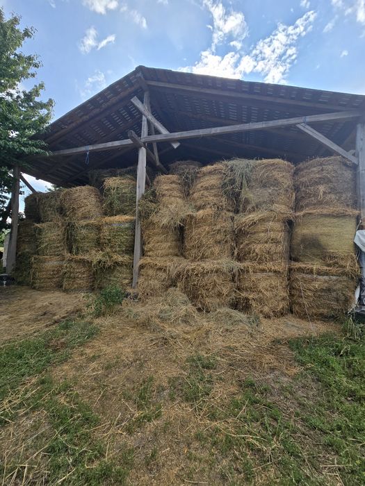 Baloti lucerna și paie