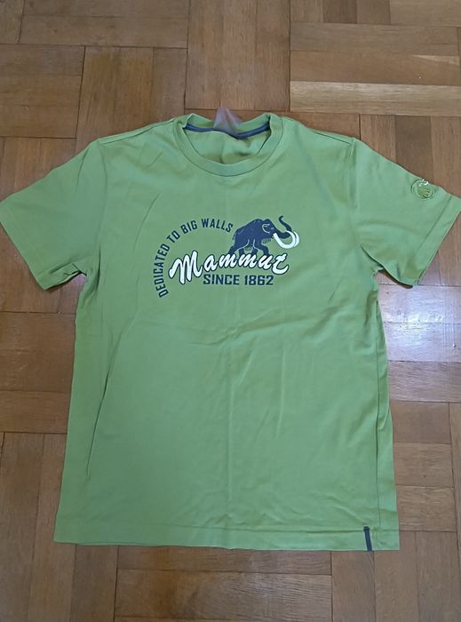 Мъжки тениски Mammut, Arcteryx