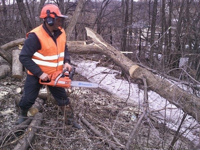 Спил обрезка деревьев.