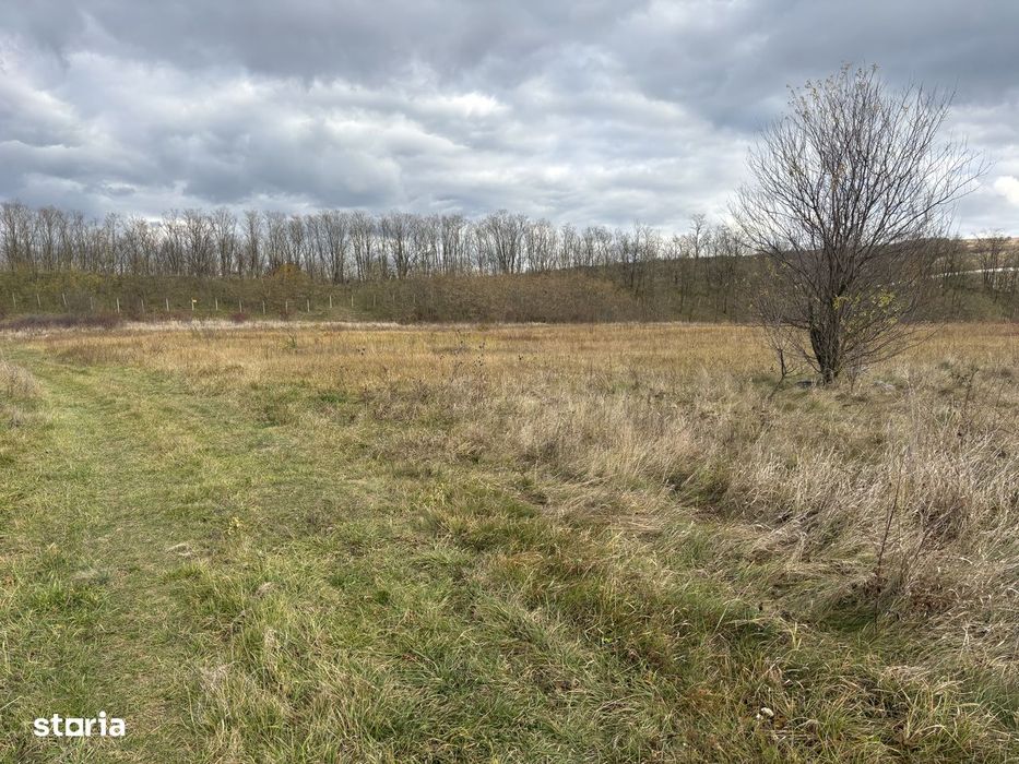 Teren intravilan Sopor