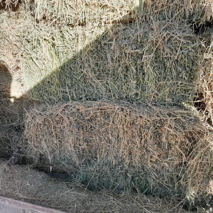 Жонышка прес шөп бар.(клевер)