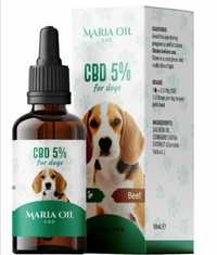 CBD масло 5% за кучета