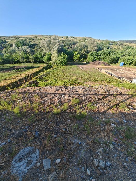 Teren intravilan Valea Chintaului