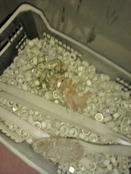 Vând șuruburi și piulițe zincate