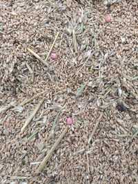 Отходы пшеничные 3 тыс мешок сухие по адресу
