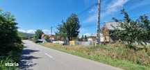 Casa+ teren 1.626 mp sat Zapodia- Traian-stradal vedere catre padure