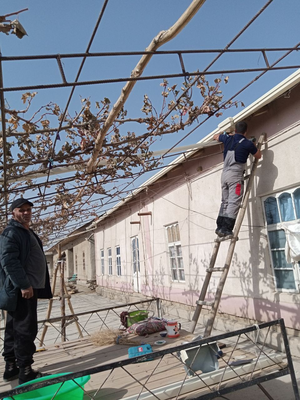 Tunikafon nova xizmatlari arzon narxlarda sifatiga javp