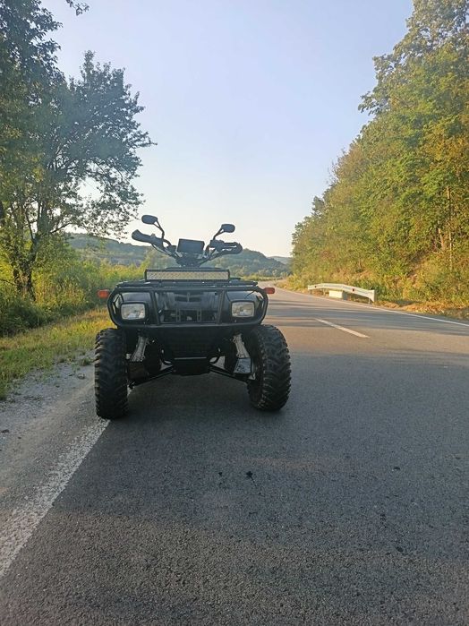 ATV  Linhai 300.