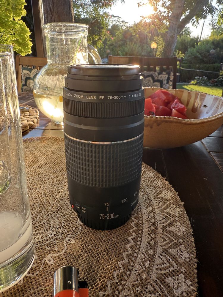 Canon EF 75-300mm f/4-5.6 III