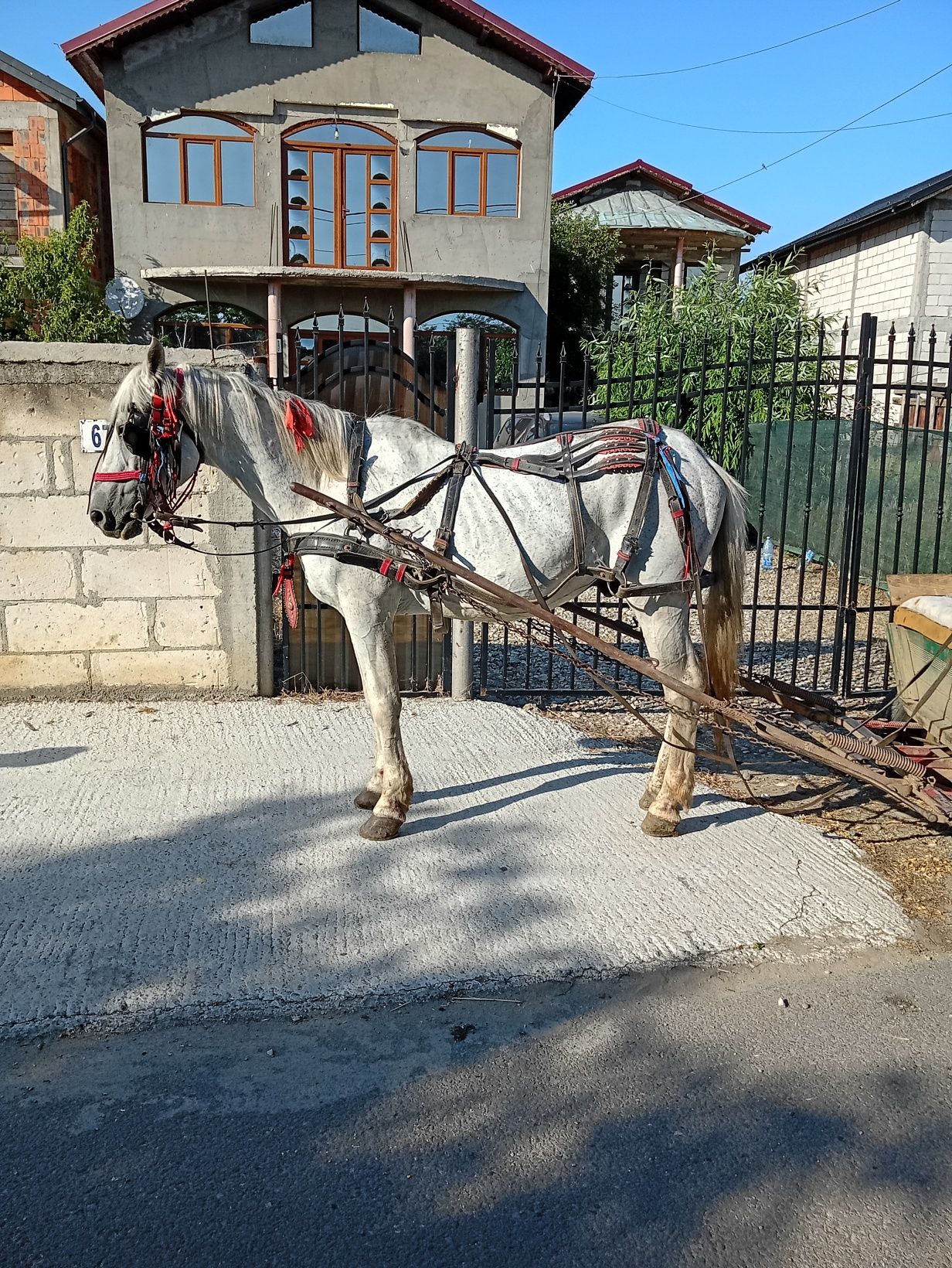Vând schimb  preț 32milioane