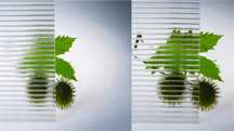 Policarbonat  transparent sau colorat - Pret Redus