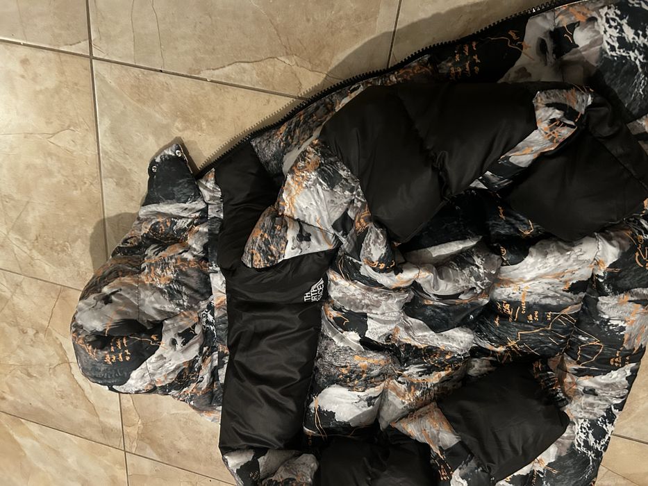 Geaca the north face