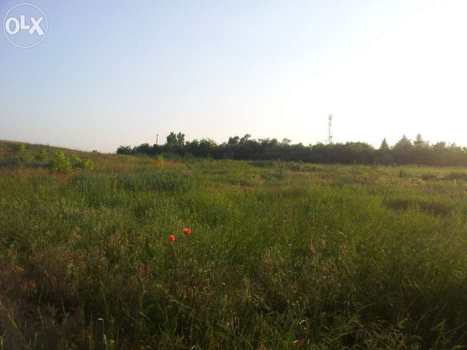 Teren intravilan Vanatori - 9500mp - intersec - Han cu drum Garboavele