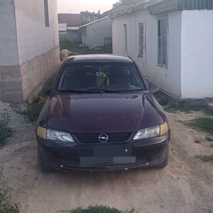 Опил виктра 1998 жылғы