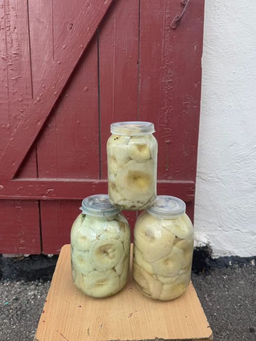 Грибы солёные грузди