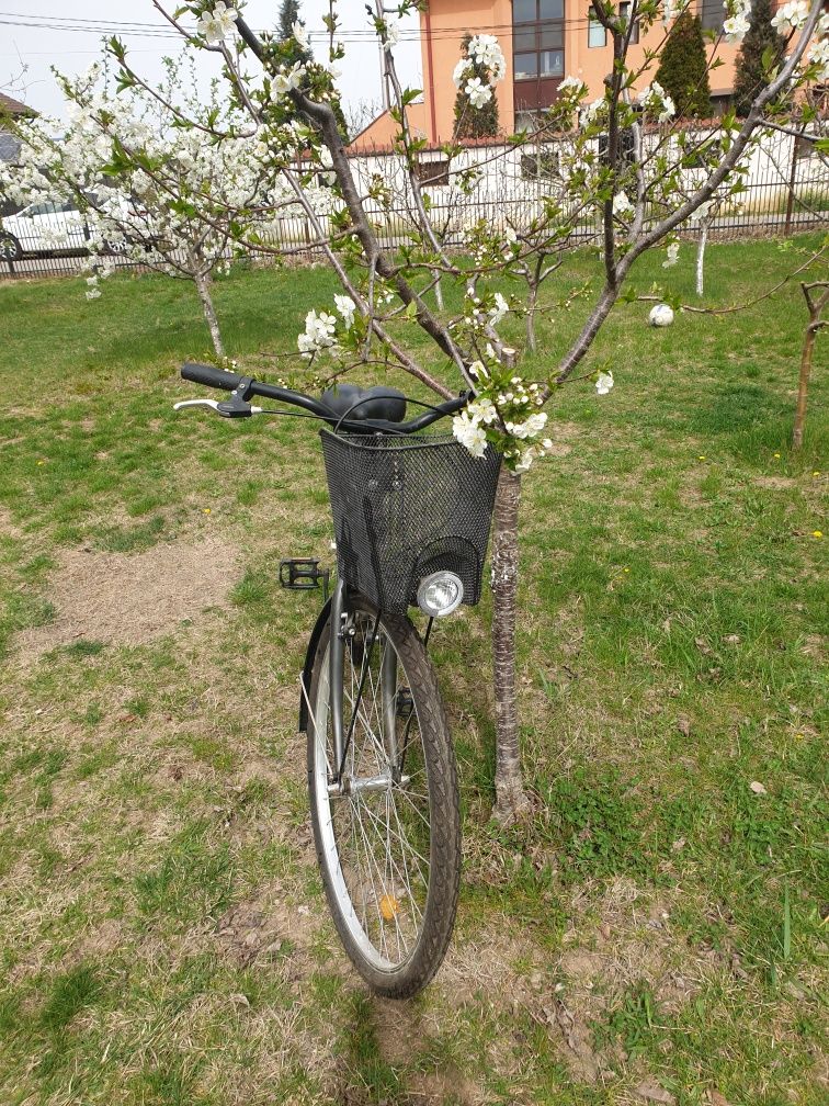 Bicicleta neutilizată