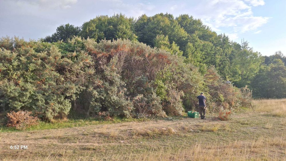 Produse apicole din productia proprie.