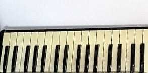 Vand Basi-Piese-Curele-Toc-Claviatura-Mecanica Acordeon Hohner