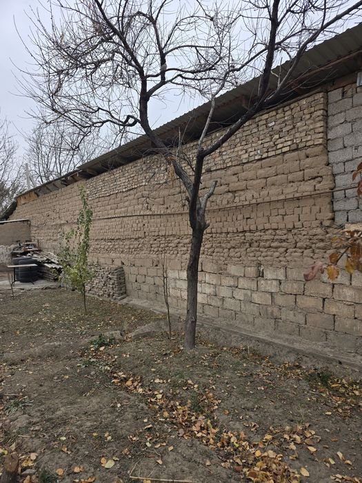 Дрова дров утин otin utin