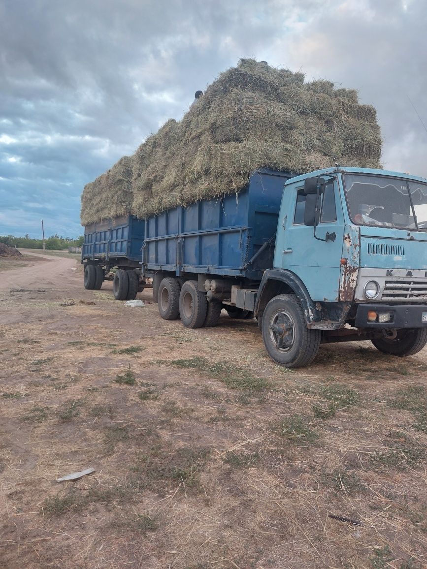 Продам сено в рулонах и тюках