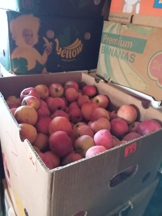 Mere de vanzare florina