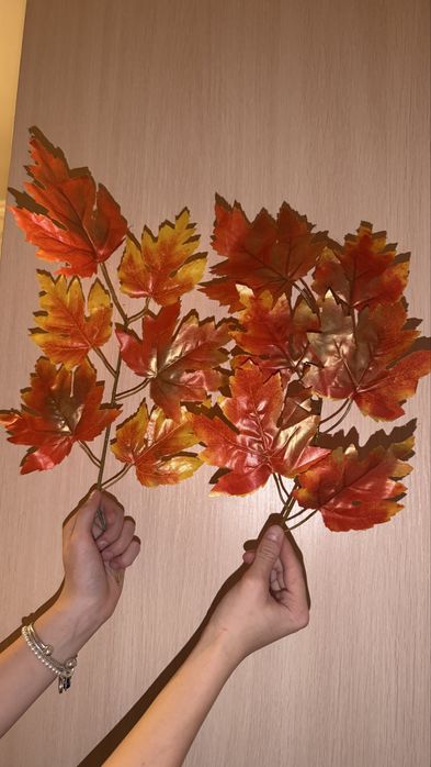 Осенние веточки