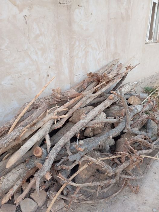 Отын бар. Той садакага.