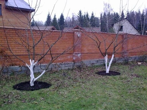 Садовник/обрезка/стрижка/спил/посадка пересадка опора деревьев и уход