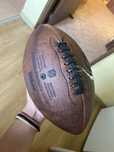 Minge fotbal american NFL 32 echipe