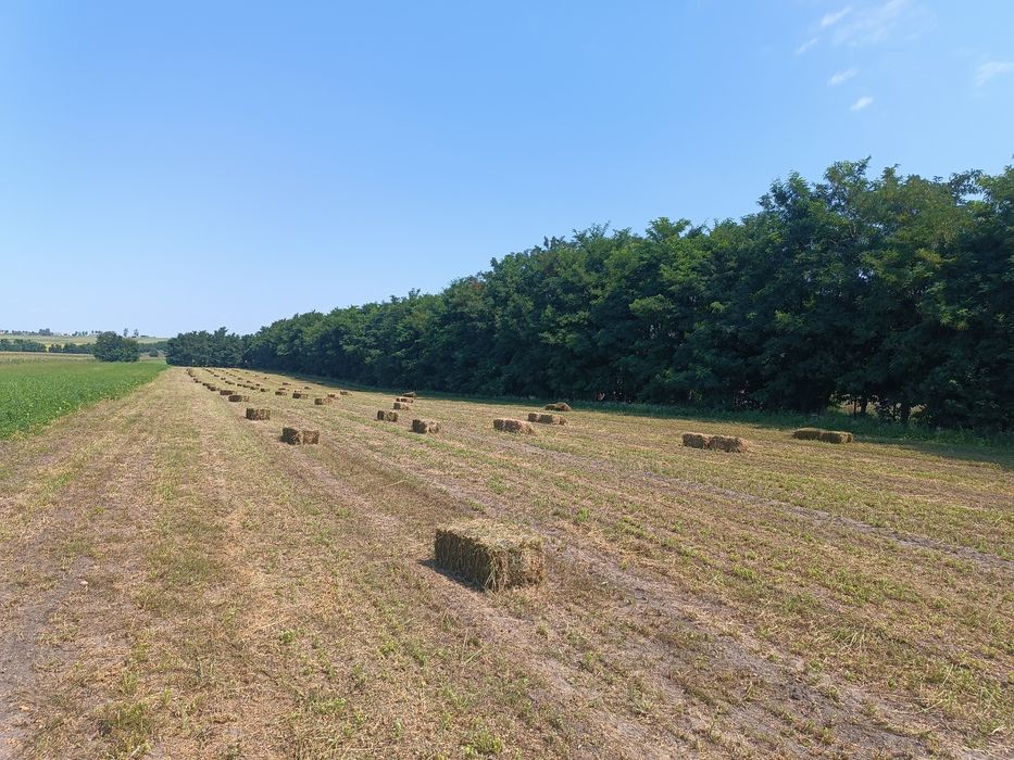 Vind baloți de lucernă