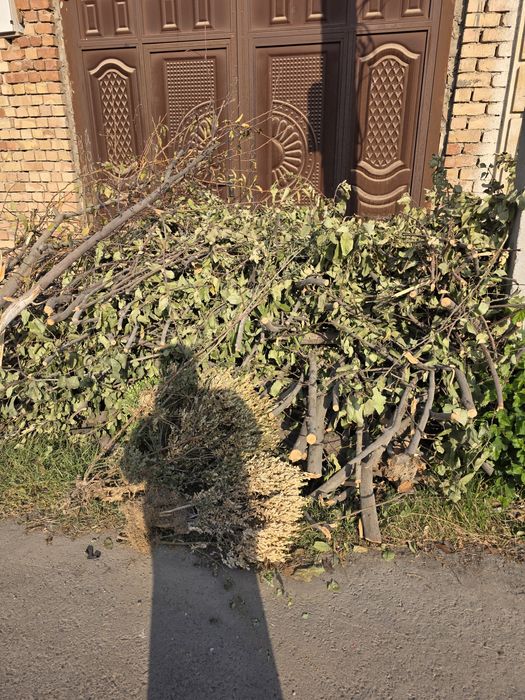 Двро . Бесплатно