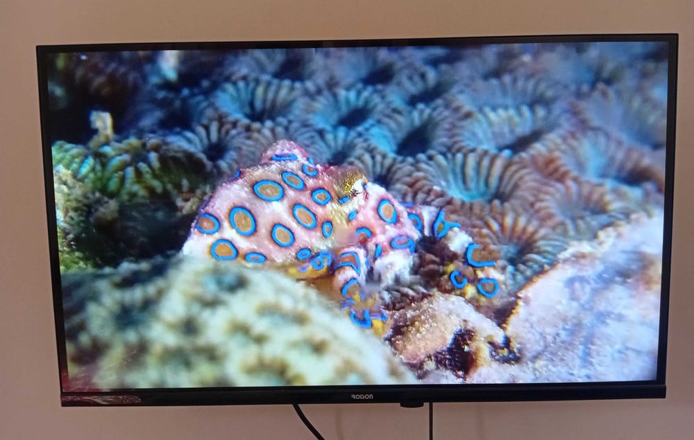 Телевизор Roison Smart TV 32'