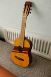 Gitara classic babrov