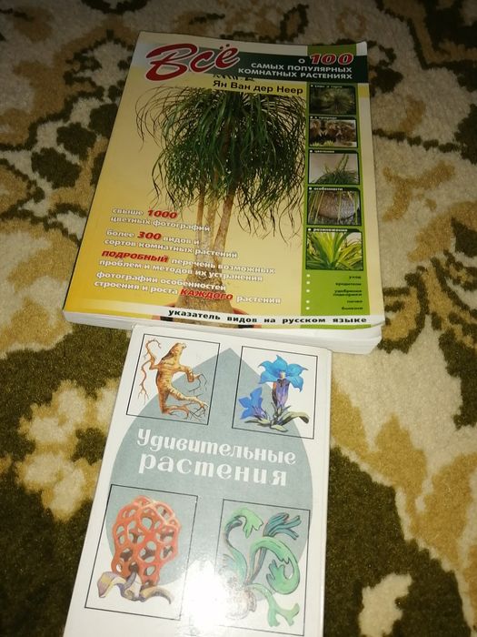 Книги художественная литература и классика по 500т каждый.