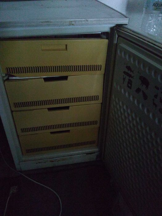 congelator arctic