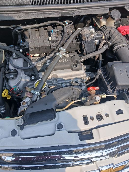 Котта матор ген чикади