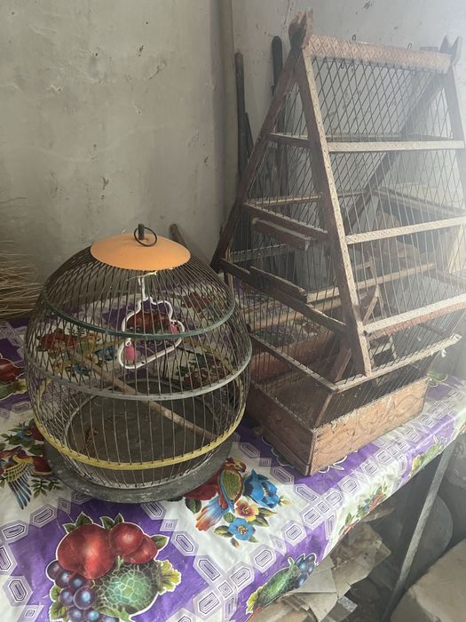 Qush Qafaslari Sotiladi Narxini Kelishamiz