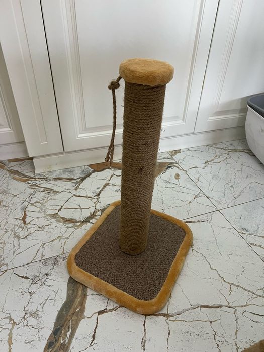 когтеточка для кошек