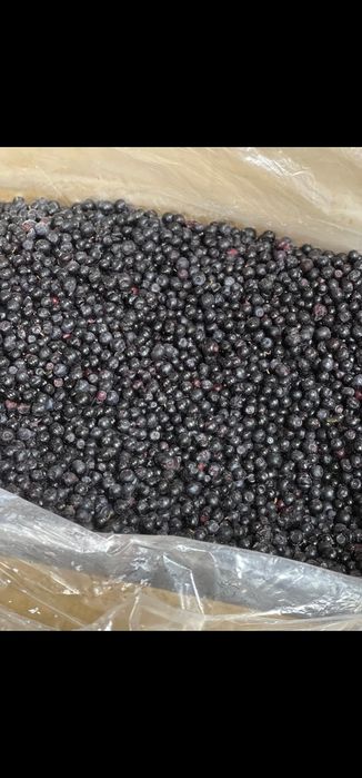 Afine de pădure ( cătină,  zmeură,  mure , merisoare și hribii)