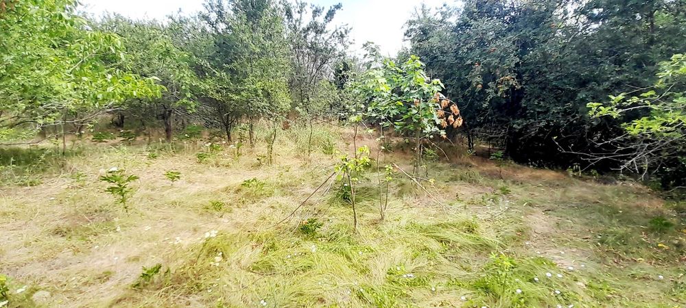 Продава се Къща в с. Пчеларово, Област Добрич - 90 кв.м за 62 €/кв.м - Снимка #9