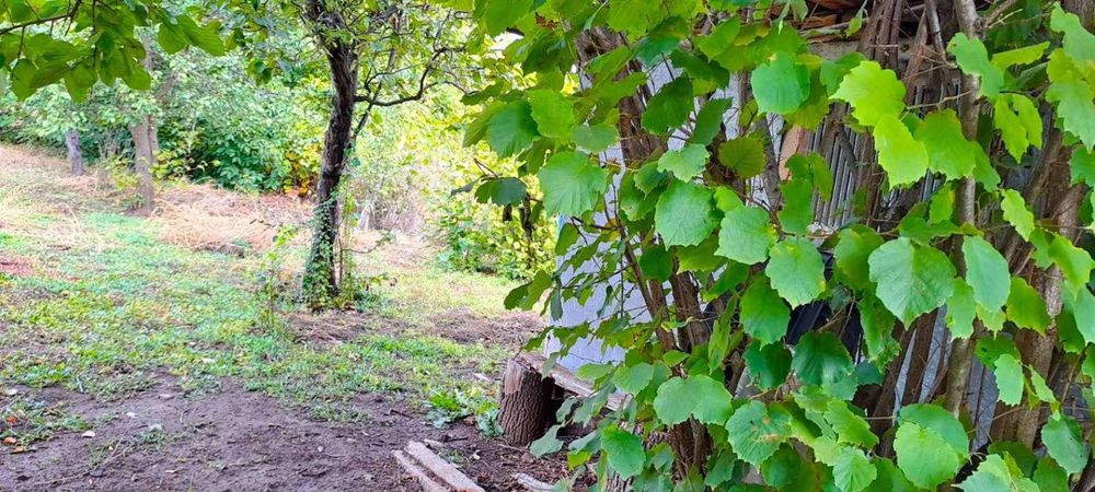Продава се Парцел в Ямбол, Промишлена зона - 1000 кв.м за 7 €/кв.м - Снимка #4
