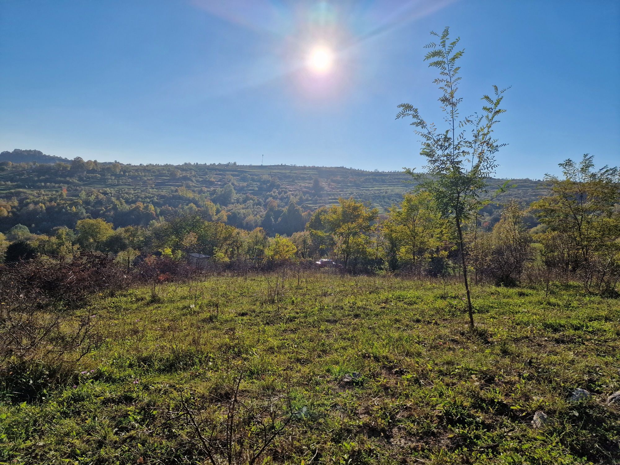 Vând teren in zonă de munte