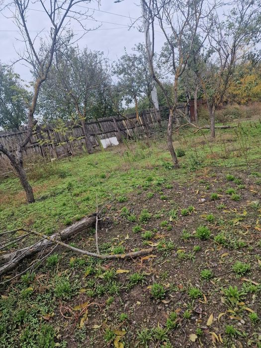 Casa batraneasca din caramida