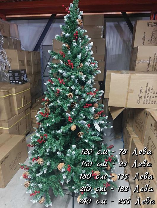 Коледни елхи, няколко варианта