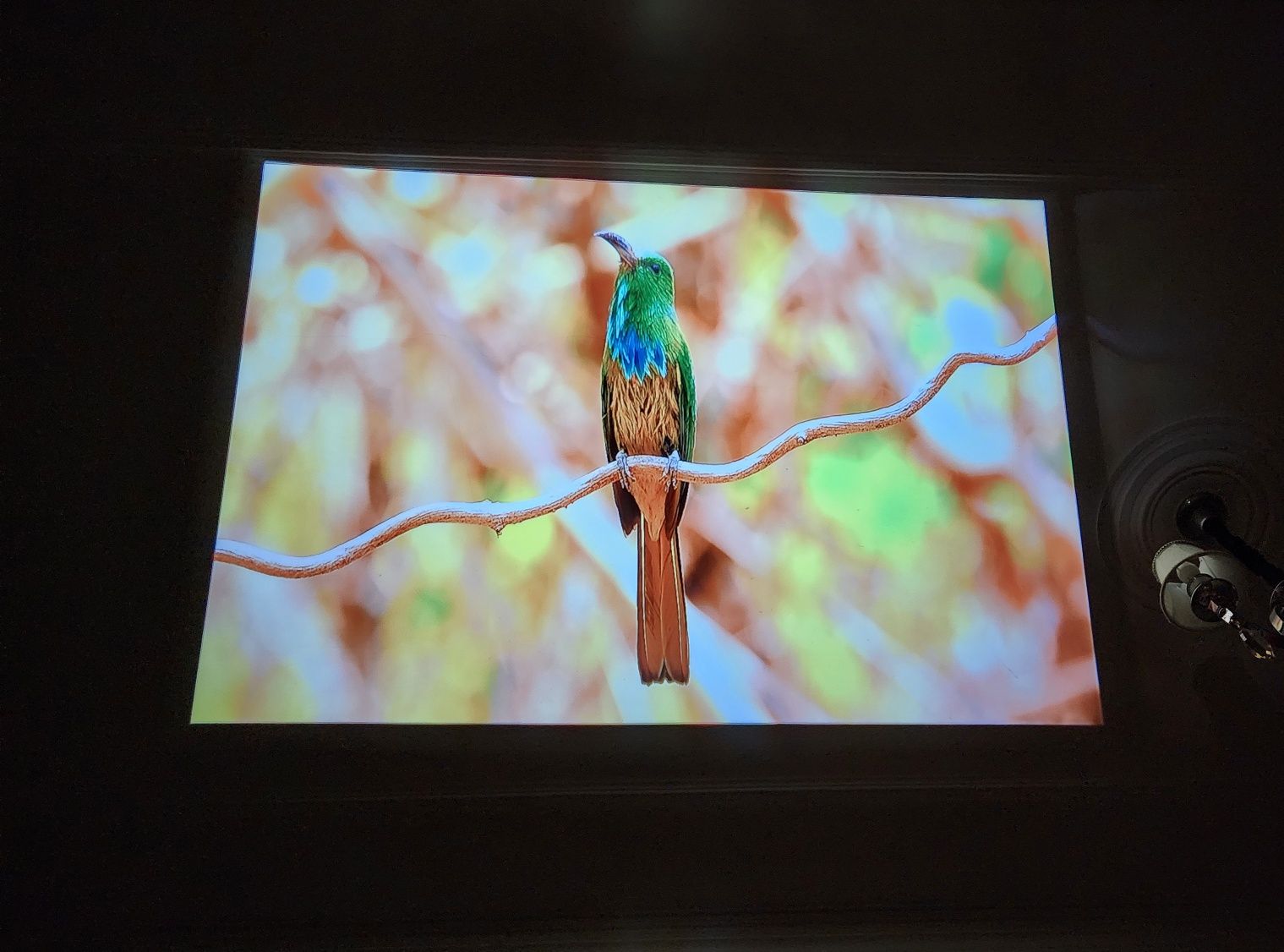 Proyektor Ultra HD 8K NeW 2024